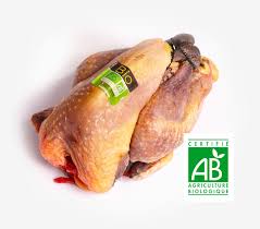 VB112 - PINTADE FERMIERE BIO.jpg